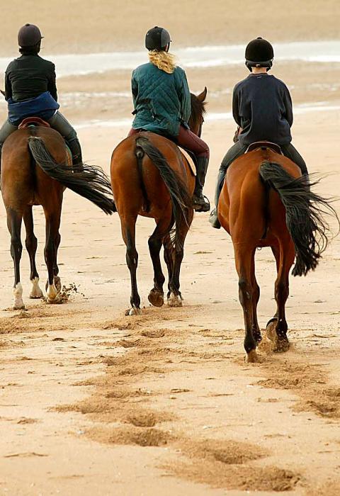 Balade à Cheval Sur Porto Pollo Et Sa Région Les Terrasses